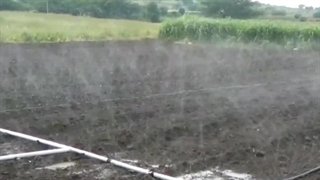 لوله بارانی مهپاش