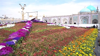 بهار، در بهشتی‌ترین نقطه زمین تماشایی است / گل‌ها برای بهشتی شدن صف کشیده‌اند