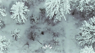 ♡تاحالا ساختم ولی الان بریدم♡میکس غمگین وخاص سریال کره ای ملکه اشک ها.2024،دلی