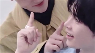 هائوبین برای عکس برداری anan