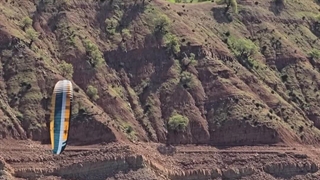 کایت بردینگ