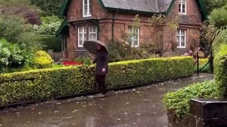 عصرتون بخیر