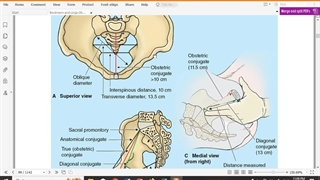 زنان جلسه ۲ قسمت اول