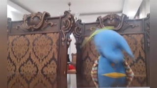 ویژه برنامه نوروزی دوستان - قسمت ٤٠ | بابک افرا،بمرانی،چهارشنبه سوری،خانه درختی