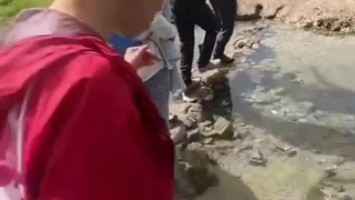 نظر شما هم محترمه!