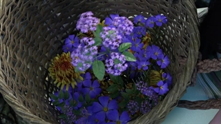 انیمه تیغه روح (Blader Soul (Bu Xing Si قسمت 2 زیرنویس فارسی