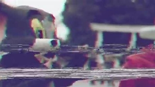 موزیک ویدیو ترکی بشیر گلی