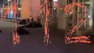 تصاویر حاوی خشونت، جنازه و خون️ در مسکو