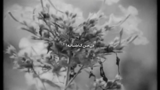 دل‌من کاشانه:)) ماندان خره کجایی؟:)کپ