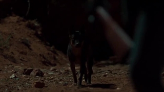 فیلم شانس باکلی با زیرنویس فارسی/ Buckley's Chance 2021