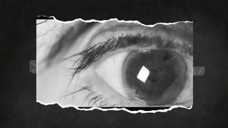 ۵ خوراکی موثر برای تقویت بینایی و سلامت چشم