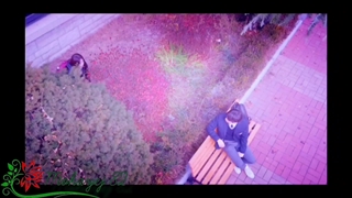 ღ شاه دلم ღ میکس گروهی زیبا با اهنگ امید عقابی (تقدیمی)