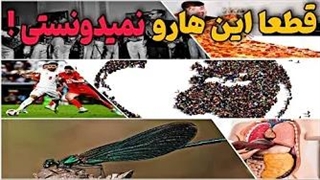 ایا میدانید های جالبی که قطعا خیلی از اون هارو نمیدونی !!!