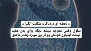 لحظه خودکشی یک سلول