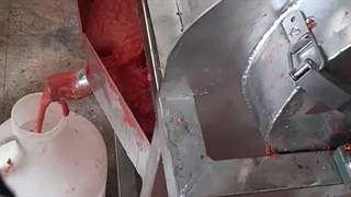 ابگیر گوجه دو موتوره