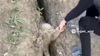 هه هه هههه وایییی صدا مردههه