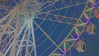 دوستی می‌گفت عاشق طبیعت باش تا در زندگی‌ات جریان یابد، عاشق هر چیزی شدم، تنها آن را از دست دادم