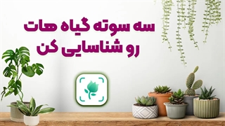 شناسایی گیاهان، درختان، پرنده ها و حشرات فقط با یک عکس