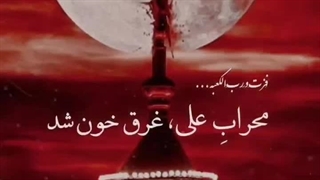 استوری_ضربت خوردن حضرت علی(ع) تسلیت باد