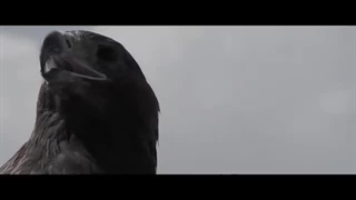 Dimash Qudaibergen - Qairan Elim / دیماش قودای‌برگن - قایران ائلیم