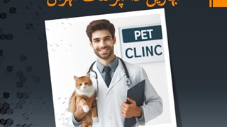 بهترین دامپزشک تهران