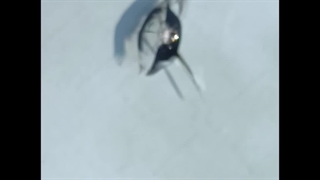 ترمیم شیشه در محل 09028778882