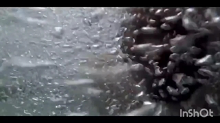 دانلود رایگان فیلم آهنگ دونفره