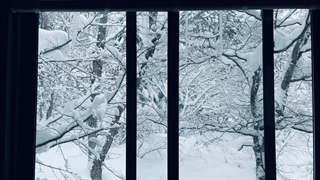 برف - شعر از شمس لنگرودی