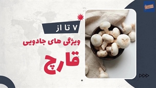 دانستنی های جالب در مورد قارچ ها