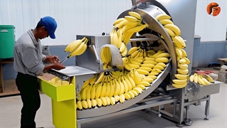 فرآیندهای تولید انبوه و ساخت ماشین آلات مدرن