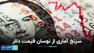 سرنخ آماری از نوسان قیمت دلار