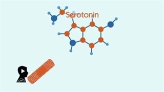 مهربانی و تاثیر آن بر جسم انسان