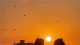 ریمیکس آهنگ عشق ادامه دار محمدرضا منصوری