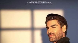 رضا ملک زاده دلتنگم