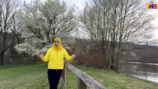 برای یک مهاجرت موفق باید چکاری انجام داد⁉️موسسه ملکپور