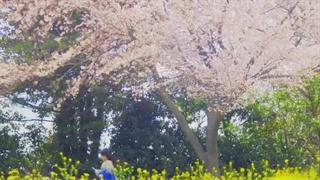 -بگو که دوستم داری