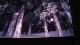 ضبط تیزر سینمایی ۲۸ کاراگاه کونان در سینما