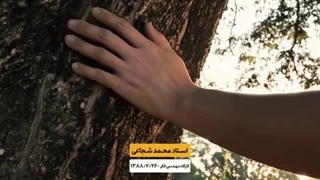 14030124: همه‌ی اشیاء شعور دارند! زندگی پس از زندگی