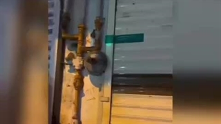 بدحجابی=پلمپ مغازه