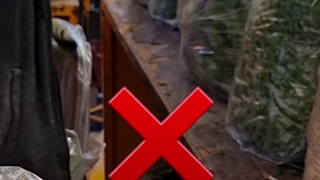 با چه کیفی باید به خرید سبزی بریم؟