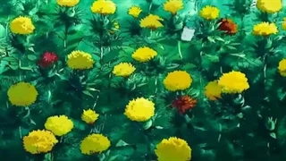 تیکه های ریلکسینگ و آرامشبخش انیمه های جیبلی مخصوص درس خواندن و آرامش ; anime world relaxing sences of ghibli world