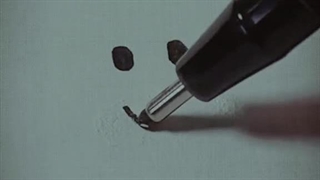 ای کاش یک روزی برسه که هممون از ته دل خوشحال باشیم و بدون سرزنش شدن جوری که دوست داریم زندگی کنیم