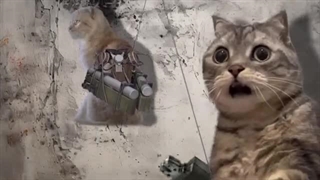 حمله به تایتان گربه ای _ قسمت 5