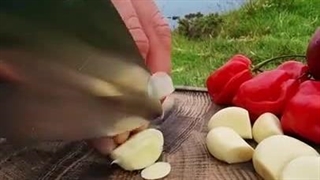 آشپزی در طبیعت | طرز تهیه هات داگ