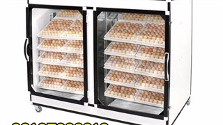 فروش دستگاه جوجه کشی 2016 تایی سوپرمینیاتور