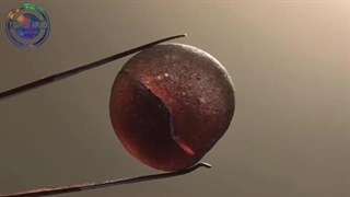 هر کس این سنگ رو پیدا کنه میلیونر میشه