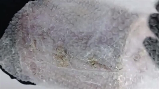 جعبه موزیکال کادویی دخترانه