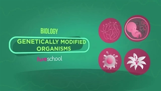 مهندسی تراریخته یا تغییرات ژنتیکی درگیاهان و دستکاری حیوانات