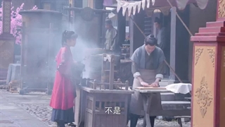 سریال آینه (شهر های دوقلو)قسمت ٨