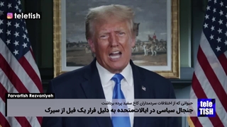 واکنش بایدن و ترامپ به فرار یک فیل از سیرک